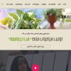 Site-mobtada.org-6